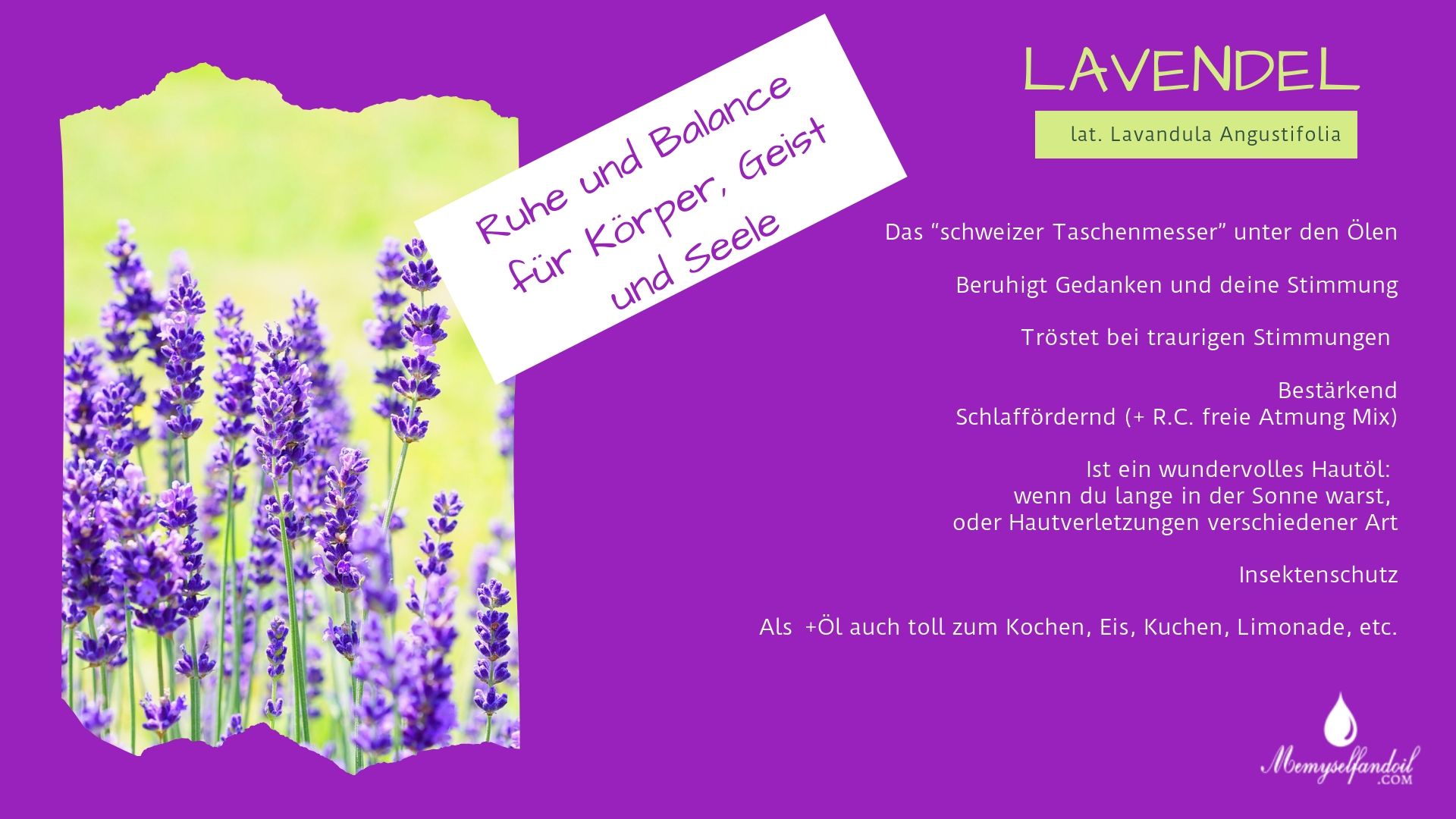 Lavendel Folie Compliant